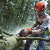 Husqvarna 555 / 45 – X-Torq