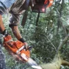 Husqvarna 555 / 45 – X-Torq