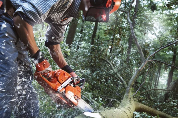 Husqvarna 555 / 45 – X-Torq